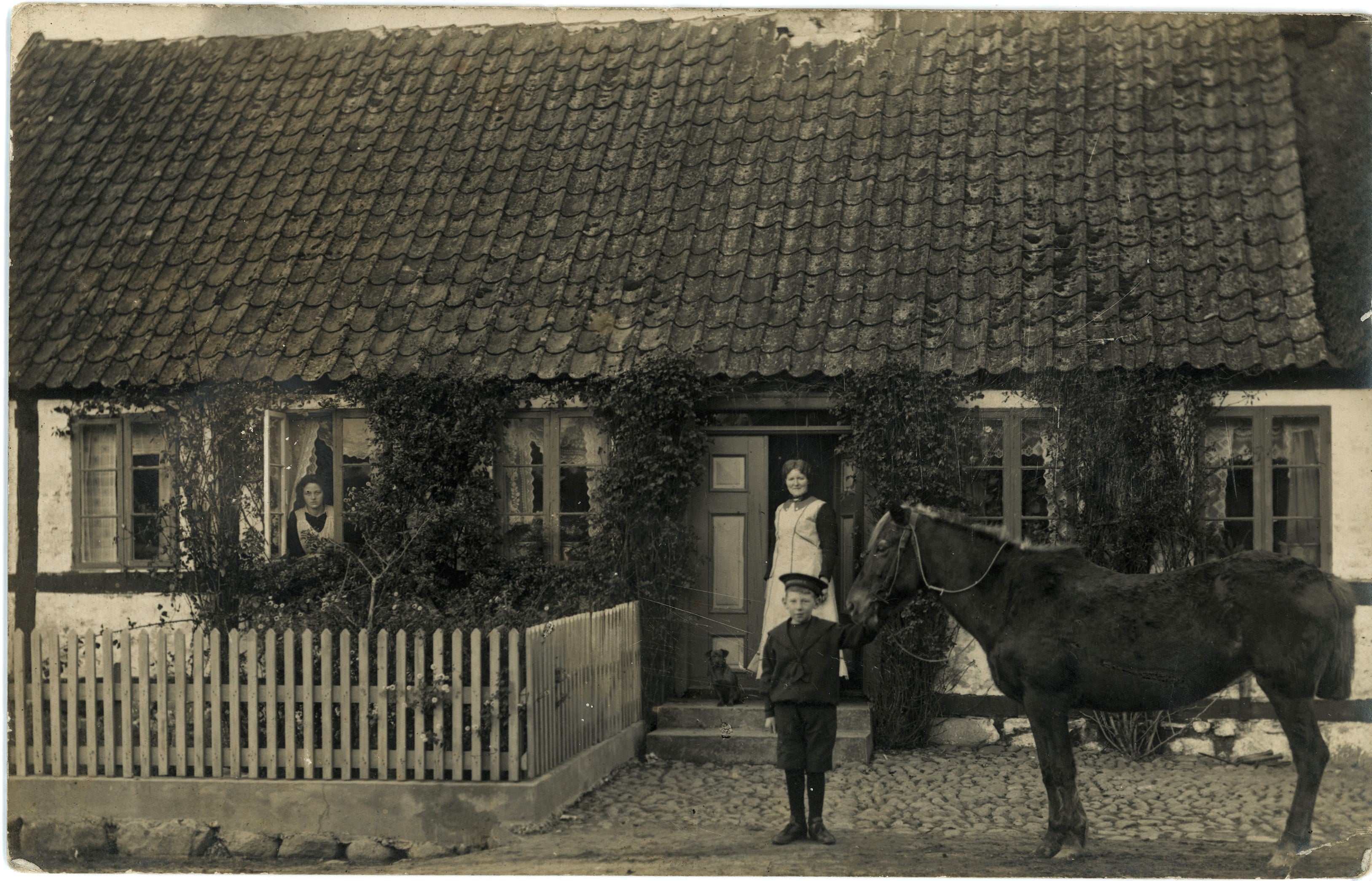 1915 Magdalene (Magge) Johansen i døren til hjemmet Tunø Hovedgade 32, Peter Musak Johansen (d. 1920) m. hest.