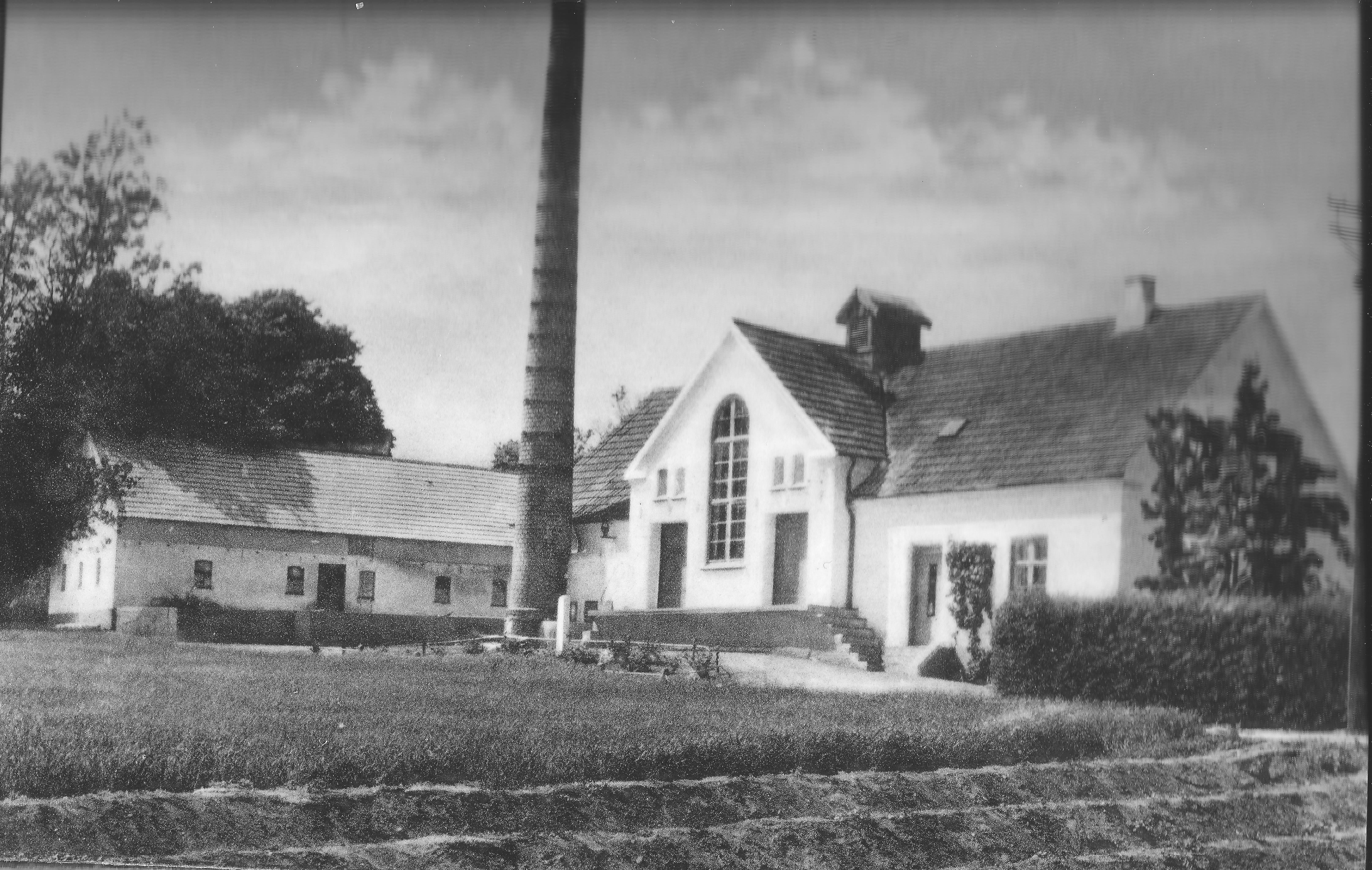 1950-erne. Tunø Mejeri. Augusts stald og mødding i længen tv.